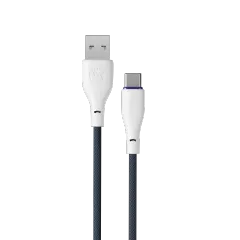 FLEXIN | Type-C Cable | R-2025