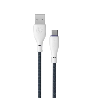 FLEXIN | Type-C Cable | R-2025