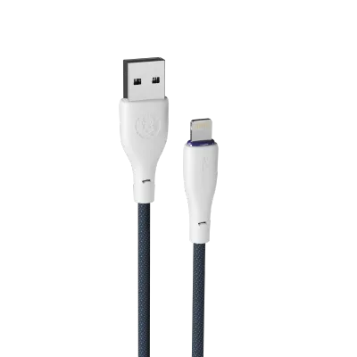 FLEXIN | iphone Cable | R-2025