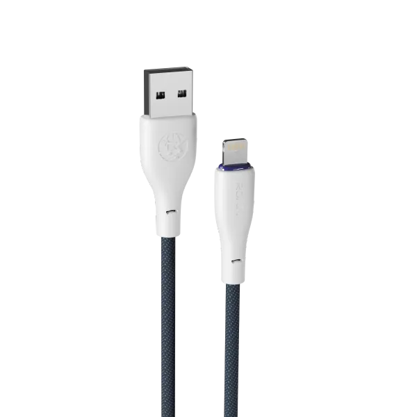 FLEXIN | iphone Cable | R-2025