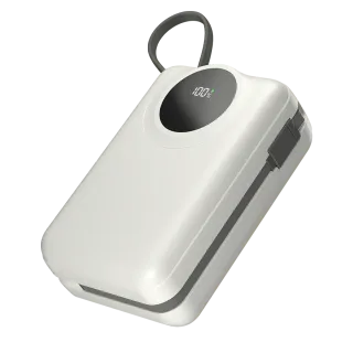 Megawatt | 30000 mAh Power Bank | R-4055