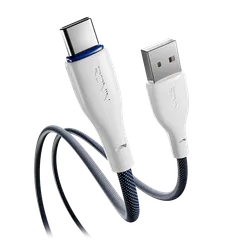 FLEXIN | Type-C Cable | R-2025